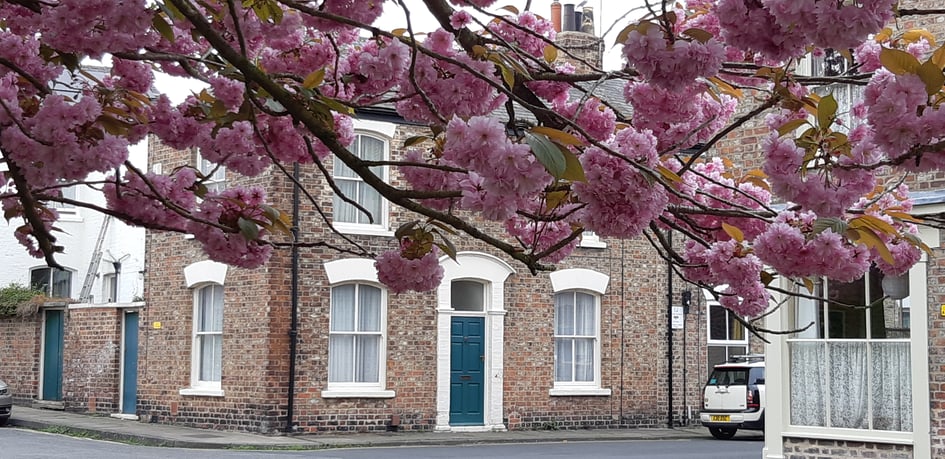 Hampden street, City centre, York - Image 1