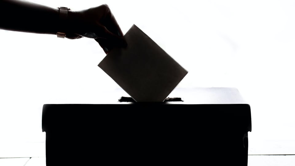 What are SU elections and why should you participate in them?