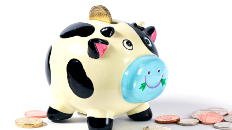 Rush to regulate cash-cow landlords