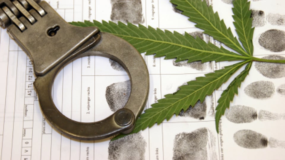 Jail threat for landlord who ignored drugs farm