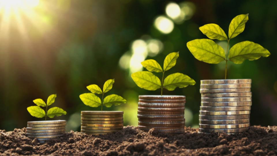 Most Prs Landlords 'Still Make A Profit'