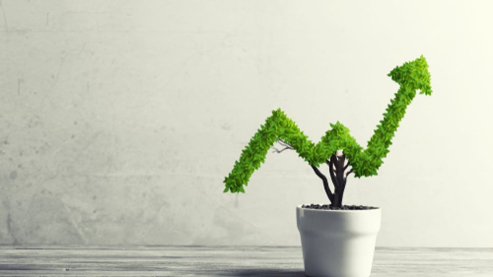 The best BTL investment cities revealed