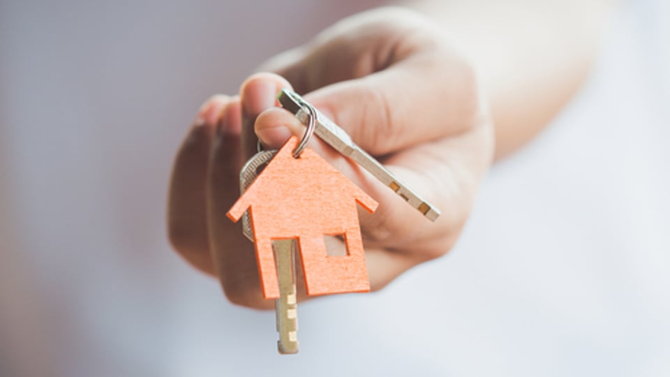 Where are BTL landlords likely to buy in 2020?