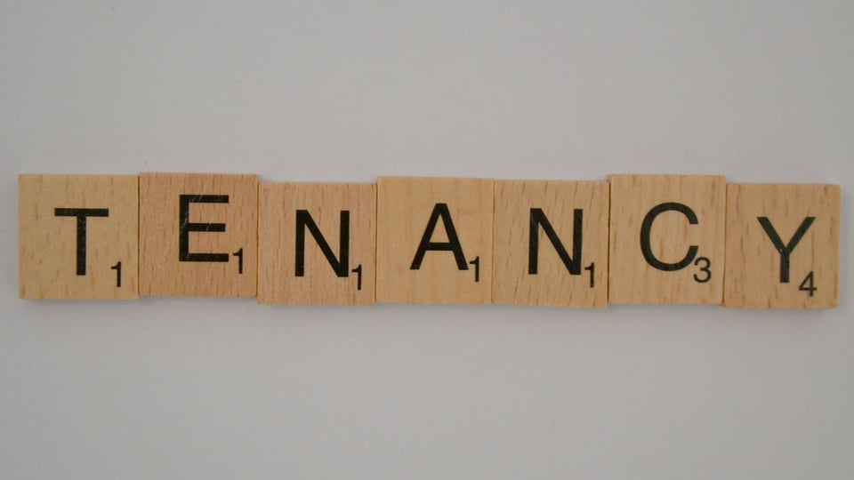 PropTech boss calls for more rental reform