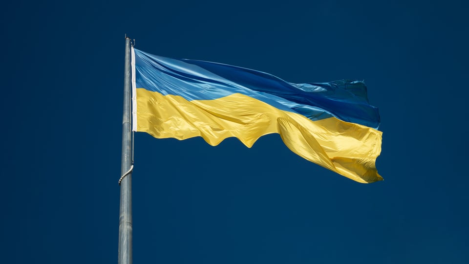 UK Universities and Educational Organisations supporting Ukraine