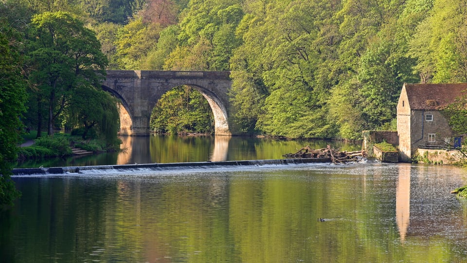 Student landlords asked to pay for waste abandoned by students