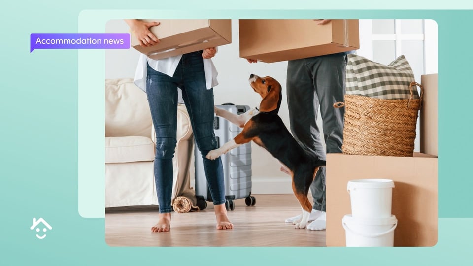 Renters' Rights Bill could add a million new pet owners in England