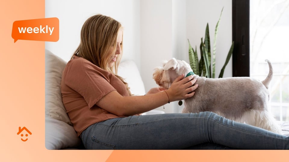 Landlords reluctant to embrace pet-friendly lets despite looming Renters' Rights Act