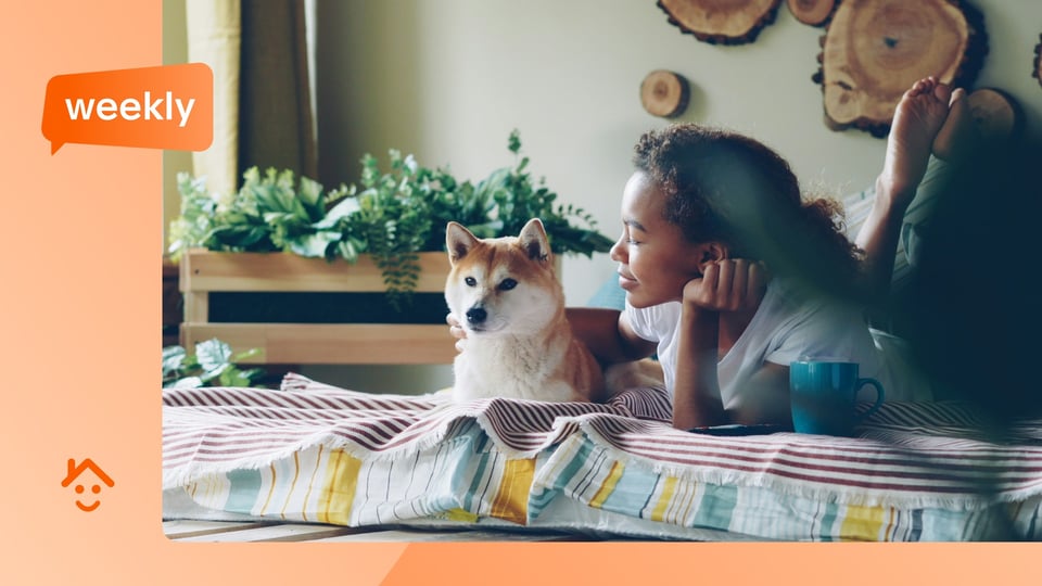Charity helps tenant win pet dispute with landlord