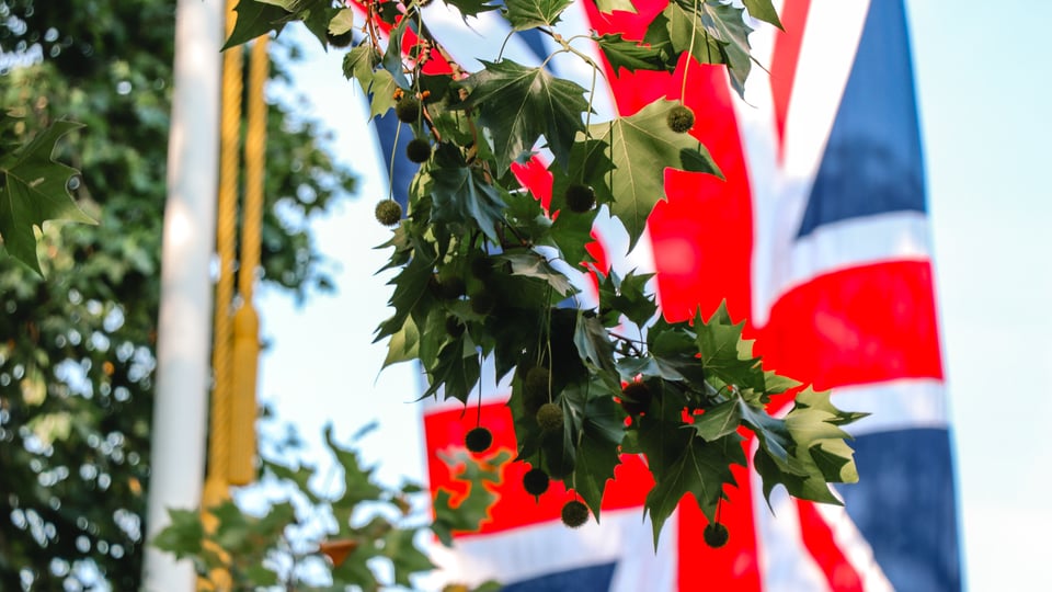 Why study in the UK?