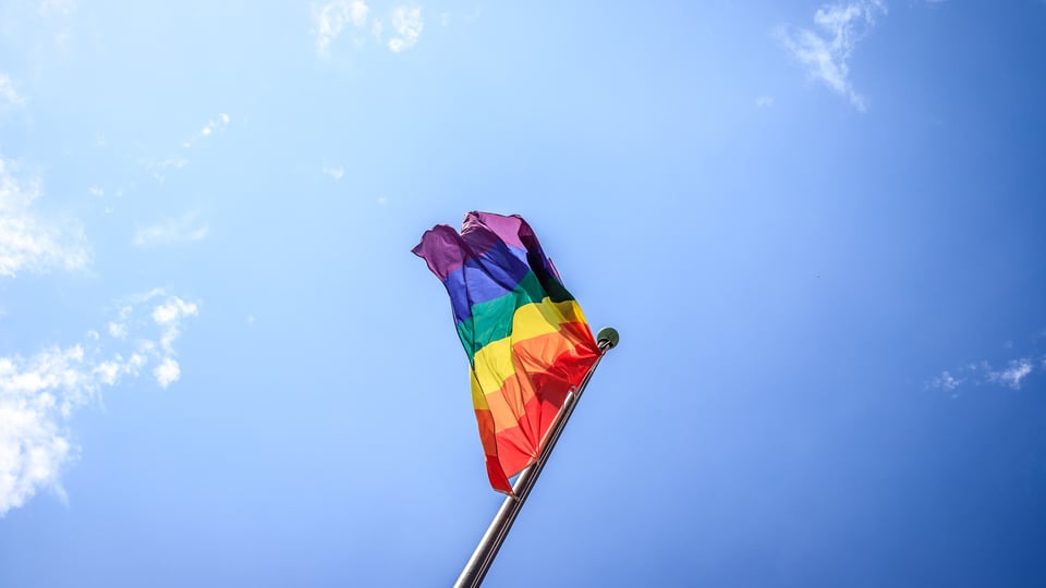 LGBT+ History Month- Celebrating 50 Years of UK Pride