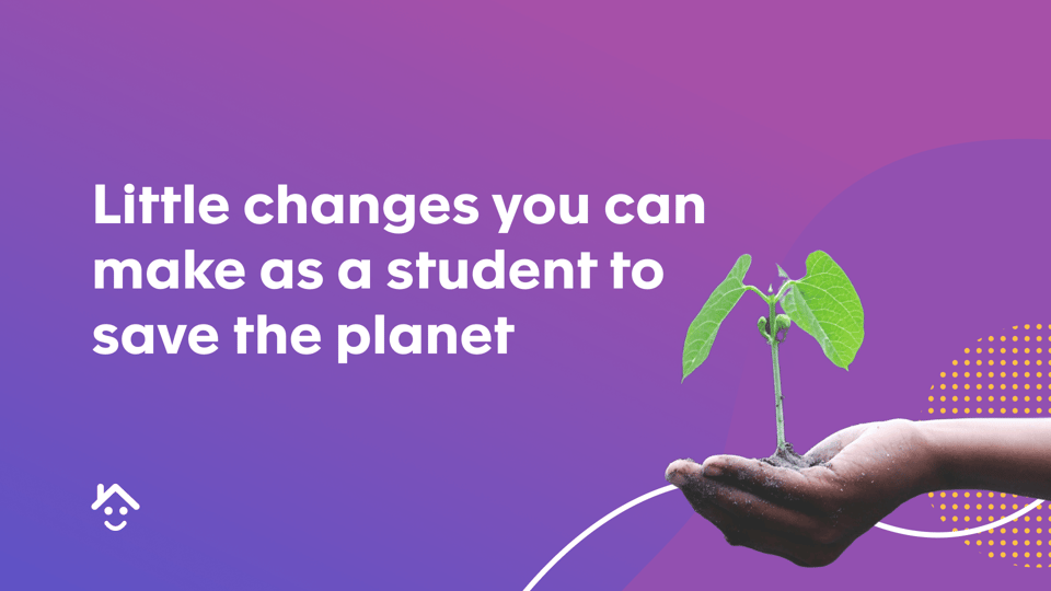 Little changes you can make as a student to save the planet