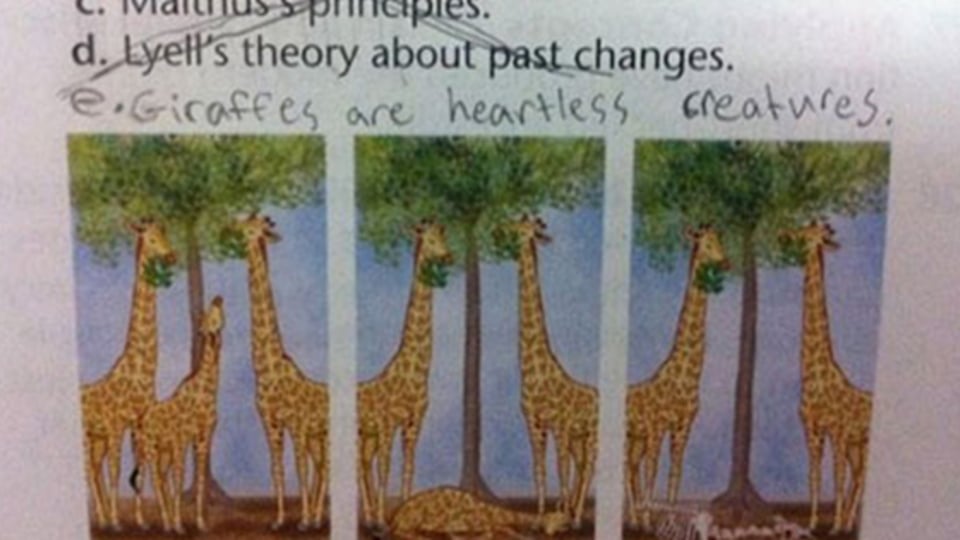10 Students Who Totally Nailed Their Test Answers