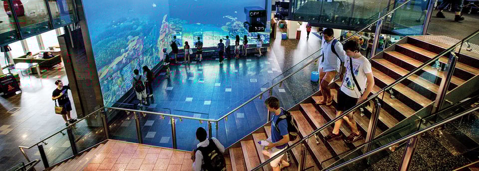 Queensland University of Technology